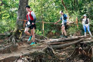 BIB: 
                            <button type="button" onclick="openModal(27558458)" class="btn btn-primary btn-sm float-right btn-popup" data-toggle="modal" data-target=".modal-high-quality">
                        <i class="fas fa-shopping-cart"></i> Add to Cart
                    </button>
                                            <button type="button" onclick="isThisMe(27558458, true)" class="btn btn-success btn-sm float-right btn-popup btn-isme hidden" data-toggle="tooltip" data-placement="bottom" title="นี่คือรูปของคุณใช่ไหม คลิกที่นี่เพื่อเอาเข้าอัลบั้ม">
                        <i class="fas fa-plus"></i> Add to album
                    </button>
                    <button type="button" onclick="isThisMe(27558458, false)" class="btn btn-warning btn-sm float-right btn-popup btn-isnotme hidden">
                        <i class="fas fa-ban"></i> Remove from album
                    </button>